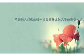 师宗调查案例